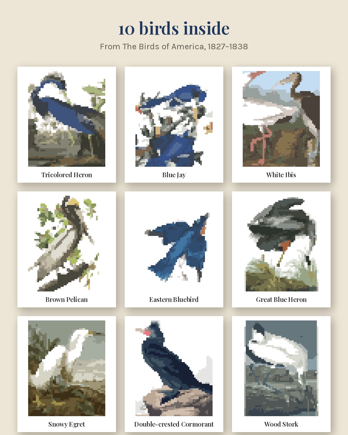 Audubon's Birds Vol. II, Blue and Water Birds: Color by Number Book (Printed Paperback) lifestyle photo 2