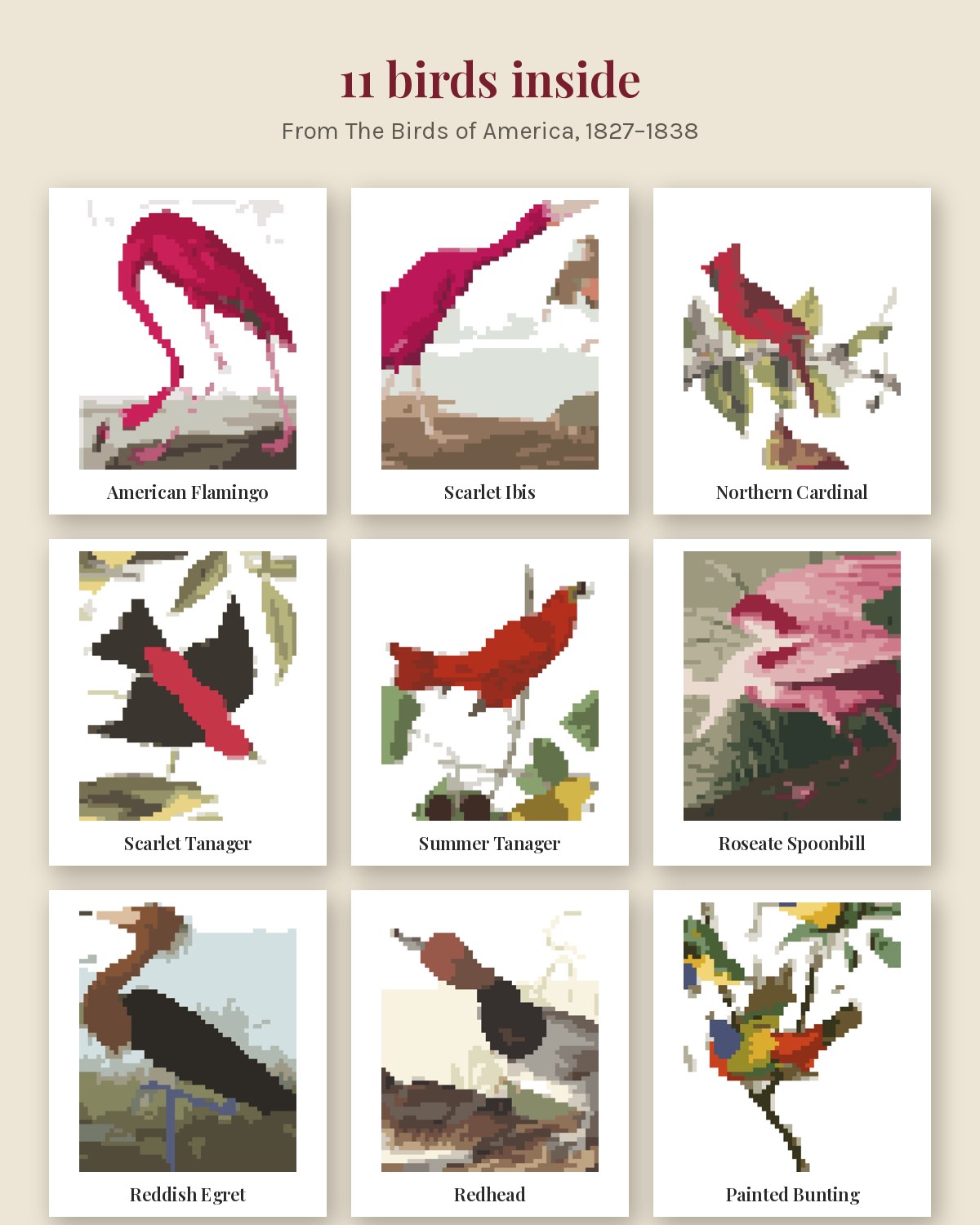Audubon's Birds Vol. I, Red and Rose Birds: Color by Number Book (Printed Paperback) lifestyle photo 2