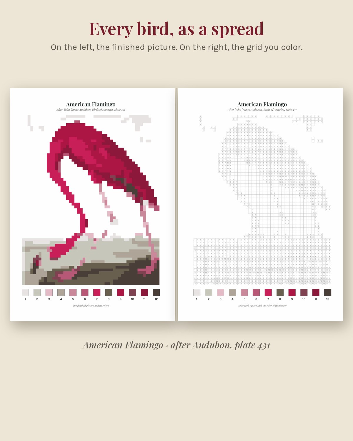 Audubon's Birds Vol. I, Red and Rose Birds: Color by Number Book (Printed Paperback) lifestyle photo 1