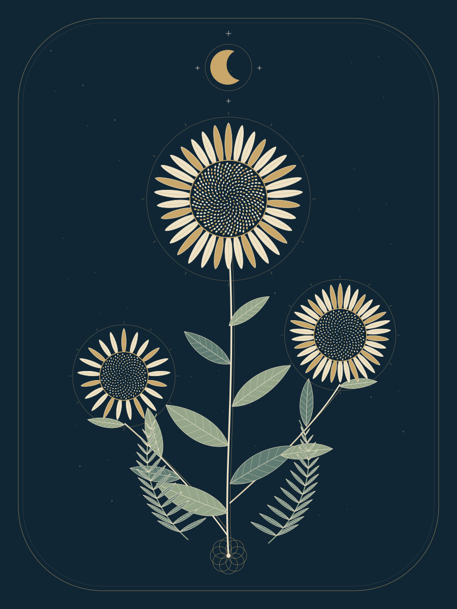 Moonlit Botanicals — 12 × 16 Botanical Art Print