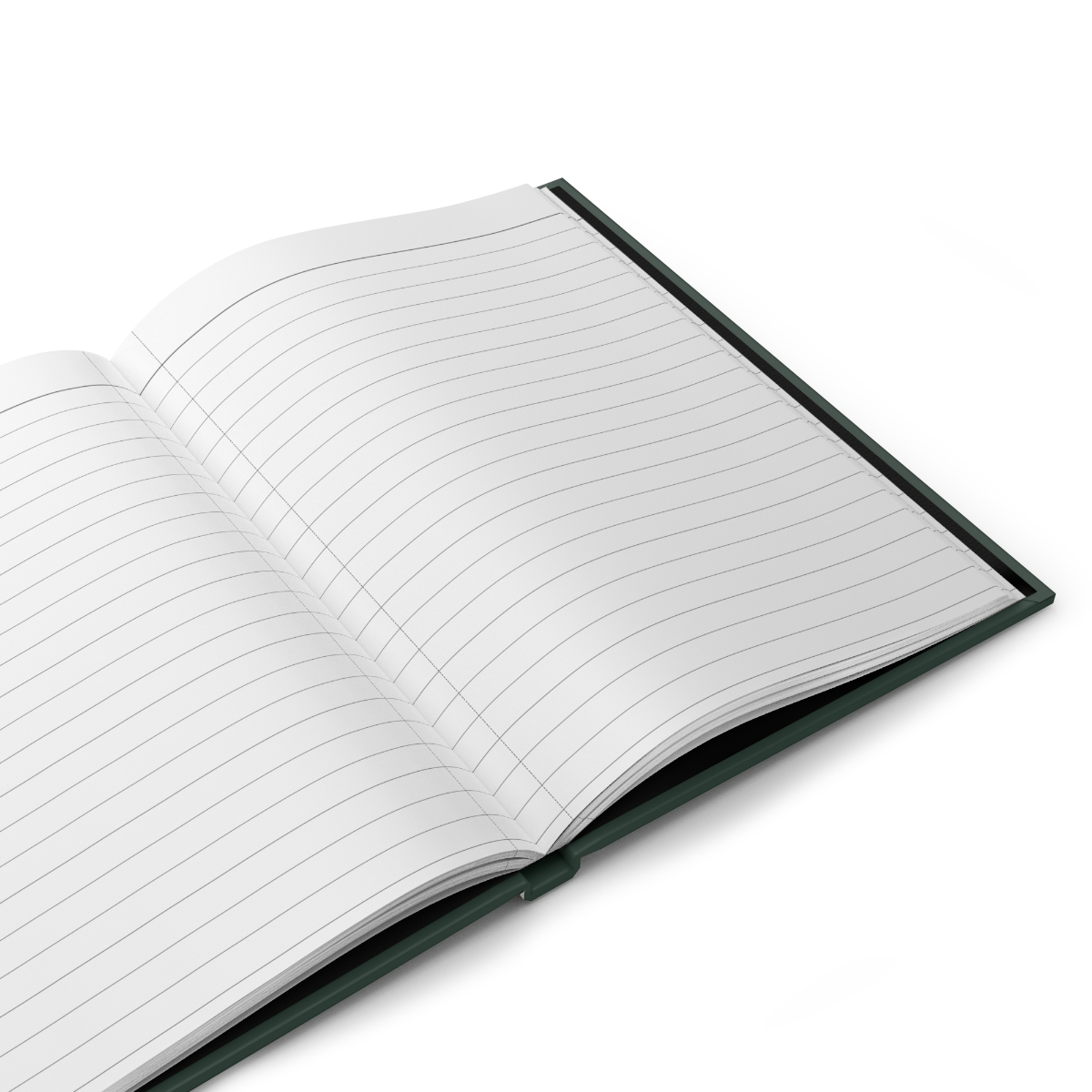 The Reading Society Notebook — Lake Suwa lifestyle photo 4